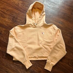 Champion Cropped Hoodie